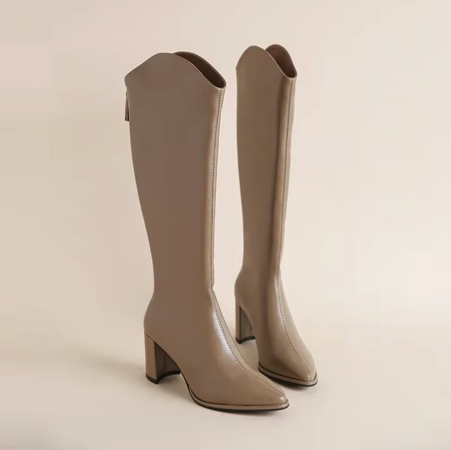 Botas Mujer Altas con Taco Bajo
