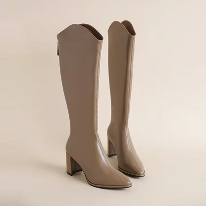 Botas Mujer Altas con Taco Bajo