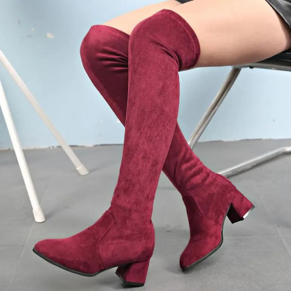 Botas Mujer Altas Elásticas Punta Fina