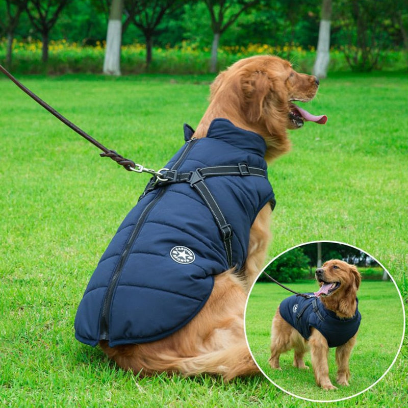 Chaqueta Invierno Perro Aislante - Vestiria