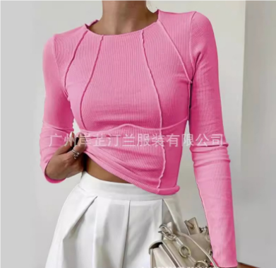 Camiseta Mujer Manga Larga Clásica