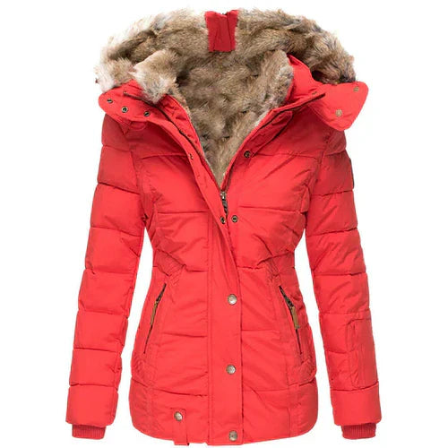 Chaqueta Invierno Aislante Abultada