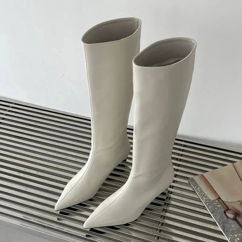 Botas Mujer Alta Puntera Sintético Elegantes
